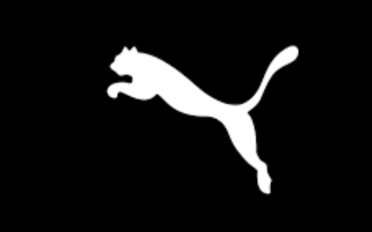 Rise and Influence of Puma