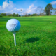Golf Tournaments and Competitions