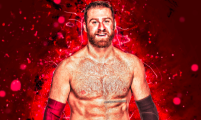 Sami Zayn Net Worth